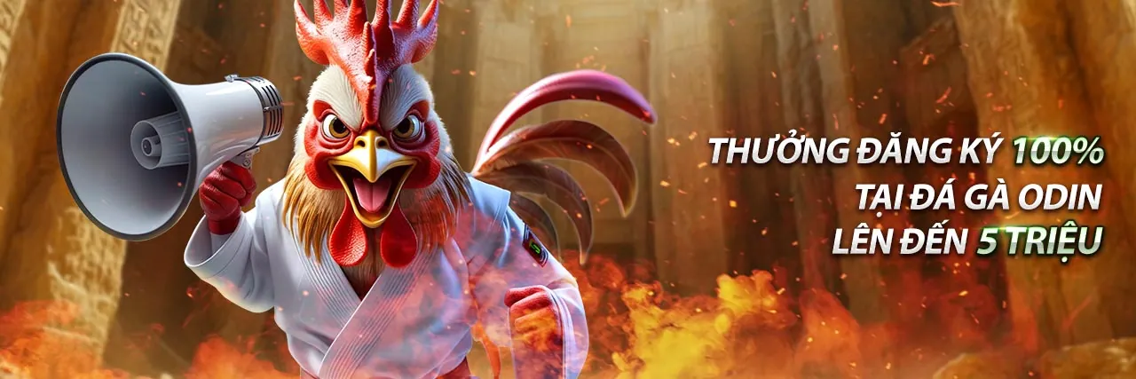 Đá gà trực tuyến Bong88 không bị chặn